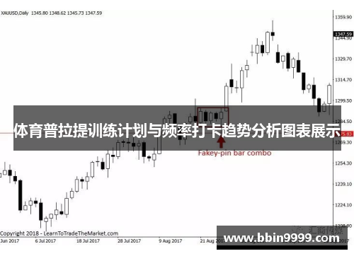 体育普拉提训练计划与频率打卡趋势分析图表展示